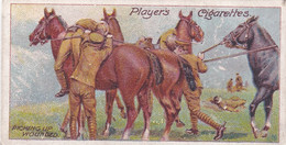 Army Life, Players Cigarette Card 1910, Original Antique Card, Military, 14 Picking Up Wounded - Player's