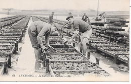 Delcampe - LE CROISIC ( 44 ) - La Culture Des Huitres - Le Croisic