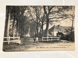 Delcampe - CPA Derval La Grande Avenue Du Boschet - Derval