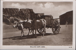 Delcampe - CPA YEMEN ADEN RP BULLOCK CART No24  EGYPTIAN CIGARETTES FACTORY MS LEHEM & CO MORE ADEN LISTED @ 1 EURO OR LESS - Jemen