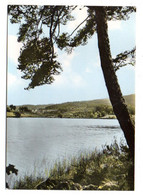 Delcampe - DORANGES --1973--L'étang De Marchaud ................ ........à Saisir - Sonstige & Ohne Zuordnung