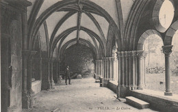 Delcampe - TULLE - Tulle