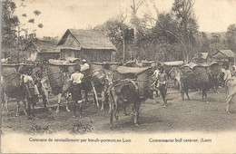 CPA Laos Caravane De Ravitaillement Par Boeufs-porteurs - Commissariat Bull Caravan - Laos