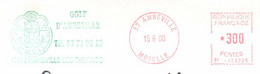 Delcampe - EMA Sur Lettre Entière - Slogan Meter Stamp On Full Letter - Golf Amneville - Golf