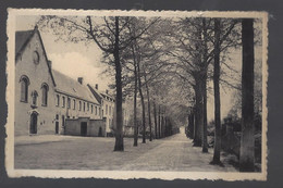 Meerseldreef - Klooster En Dreef - Postkaart - Hoogstraten