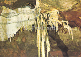 Delcampe - En Quercy - Les Grottes De Lacave - Les Pattes D'Araignee - France - Unused - Lacave