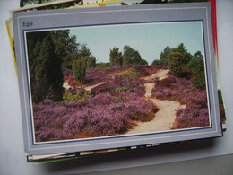 Delcampe - Nederland Holland Pays Bas Epe Met Pad Over De Heide - Epe
