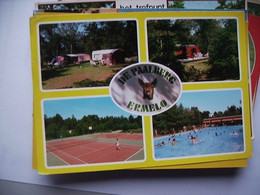 Delcampe - Nederland Holland Pays Bas Ermelo Met De Paalberg In Geel - Ermelo