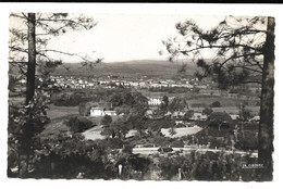 Delcampe - CP DEPT 83 LE MUY VUE D'ENSEMBLE - Le Muy