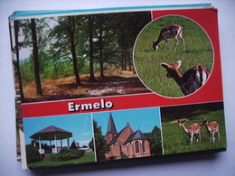 Delcampe - Nederland Holland Pays Bas Ermelo Met Rode Rand - Ermelo