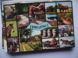 Delcampe - Nederland Holland Pays Bas Ermelo Met Diverse Bezienswaardigheden - Ermelo