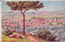 Delcampe - DRAGUIGNAN(ARBRE) - Draguignan