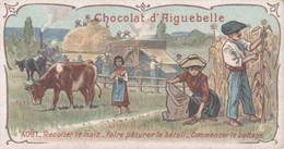 Delcampe - CHROMO CHOCOLAT D'AIGUEBELLE AOUT RECOLTER LE MAIS FAIRE PATURER LE BETAIL COMMENCER LE BATTAGE - Aiguebelle