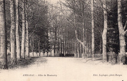 Delcampe - 7882 Cpa 87 Ambazac - Allée De Montméry - Ambazac
