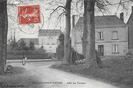 37)   NEUILLE  PONT  PIERRE  -  Allée Des Platanes - Neuillé-Pont-Pierre