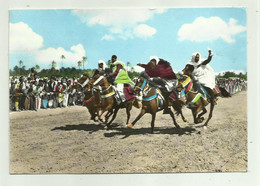 Delcampe - TRIPOLI - LIBYA - CORSA DEI CAVALIERI  VIAGGIATA FG - Libyen