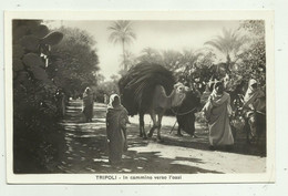 TRIPOLI - IN CAMMINO VERSO L'OASI  - NV  FP - Libyen