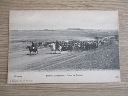Delcampe - URUGUAY ESCENAS CAMPESTRES TROPA DE GANADO CAVALIERS - Uruguay