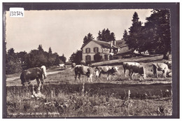 DISTRICT DE GRANDSON - CHALET DU MONT DE BAULMES - VACHES - TB - Baulmes