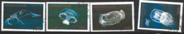 Delcampe - Azerbaijan    1995  SG 228-31  Marine Animals  Fine Used - Aserbaidschan