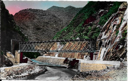 Delcampe - BLIDA - Gorges De La Chiffa - Le Pont De Chemin De Fer - Blida