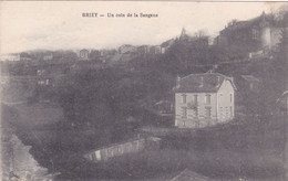 Delcampe - CPA 54 @ BRIEY - Un Coin De La Sangsue - Briey