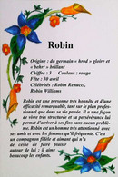 Delcampe - ►  CPSM  Prénom Robin - Vornamen