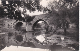 ARGENTON-CHATEAU. L'Ancien "Pont Neuf " Sur L'Argenton - Argenton Chateau