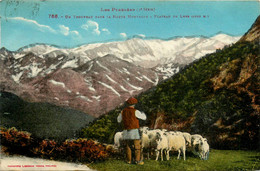 Accous * Les Pyrénées * Un Troupeau Dans La Haute Montagne * Plateau De Lers - Other & Unclassified