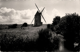 St Jean De Monts * Le Moulin à Vent Du Pré Danion * Molen - Saint Jean De Monts