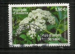 Fleur De Sureau/ Elderflower/ Flor De Saúco/2021. Oblitéré 1 ère Qualité.   Andorra Español - Used Stamps