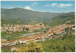 PONTREMOLI - MASSA - PANORAMA -65561- - Massa