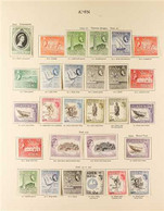 BRITISH MIDDLE EAST AND ASIA 1952-1966 VERY FINE MINT All Different Collection On Printed Pages. With Good Aden (includi - Autres & Non Classés