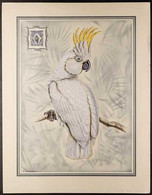 BIRDS ARTWORK By L. Screpel For The 1909-23 12c Deep Blue Palm Cockatoo, Comprising The Main Illustration Upon Which The - Non Classés