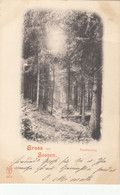 7511) GRUSS Aus SEESEN - FORELLENSTIEG - Sehr Alt !! 8.8.1900 !! - Seesen