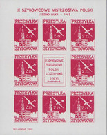 POLAND 1963 National Gliding Championships Leszno, Cindirella Airplane, Aircraft Plane, Full Sheet MNH** P71 - Proeven & Herdruk