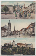 (103729) AK Altenburg, Thüringen, Schloss, Markt, Trachten, Mehrbildkarte, Bis 1 - Altenburg