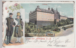 (113144) AK Altenburg S.A., Schloss, Bauerntracht 1905 - Altenburg