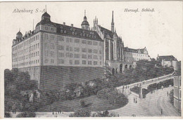 (5) AK Altenburg S.A., Herzogl. Schloss 1920 - Altenburg