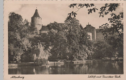 (79213) Foto AK Altenburg, Thür., Schloss, Pauritzer Teich, Ab 1920 - Altenburg