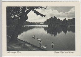 (85665) AK Altenburg, Thür., Großer Teich Mit Insel, Vor 1945 - Altenburg