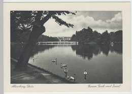 (85667) AK Altenburg, Thür., Großer Teich, Insel, Vor 1945 - Altenburg