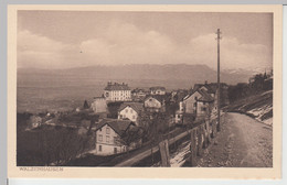 (111090) AK Walzenhausen, Totale 1920er - Walzenhausen