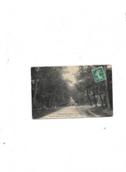 Carte Postale Ancienne Verneuil-sur-Seine (78) Route De Meulan Dans Les Bois De Verneuil - Verneuil Sur Seine