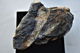 Rare Fossile Marin 1200 Grammes - Fossiles