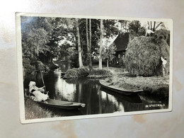 Germany Deutschland Lübbenau Luebbenau Spreewald Lake Boat Lady Man Folklore Agriculture RPPC 13424 Post Card POSTCARD - Lübben (Spreewald)