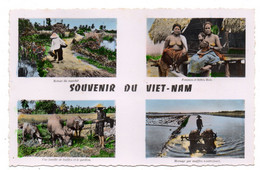 Viet-Nam --  "Souvenir Du  Viet-Nam  " ....Multivues Animées .....à Saisir - Vietnam