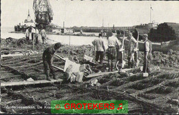 ZUIDERZEEWERKEN De Kraagstukken Levendig * Ca 1935 - Andere & Zonder Classificatie