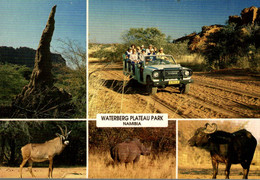 NAMIBIE WATERBERG PLATEAU PARK NATURE RESERVE  MULTI VUES - Namibia