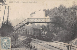 CPA 25 BONNEVAUX DOUBS PASSERELLE DANS LE BOIS (cpa Rare Avec Train - Other & Unclassified